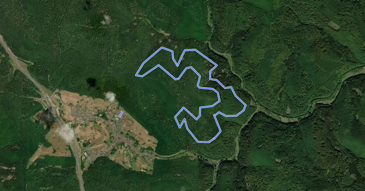 Маршрут Nordic Walking 4 Blau Weibersbrunn на спутниковом снимке