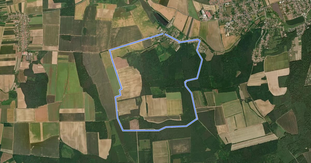 Маршрут Nordic walking на спутниковом снимке