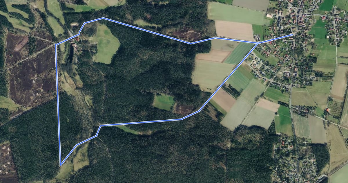 Маршрут Nordic Walking 9L Egestorf на спутниковом снимке
