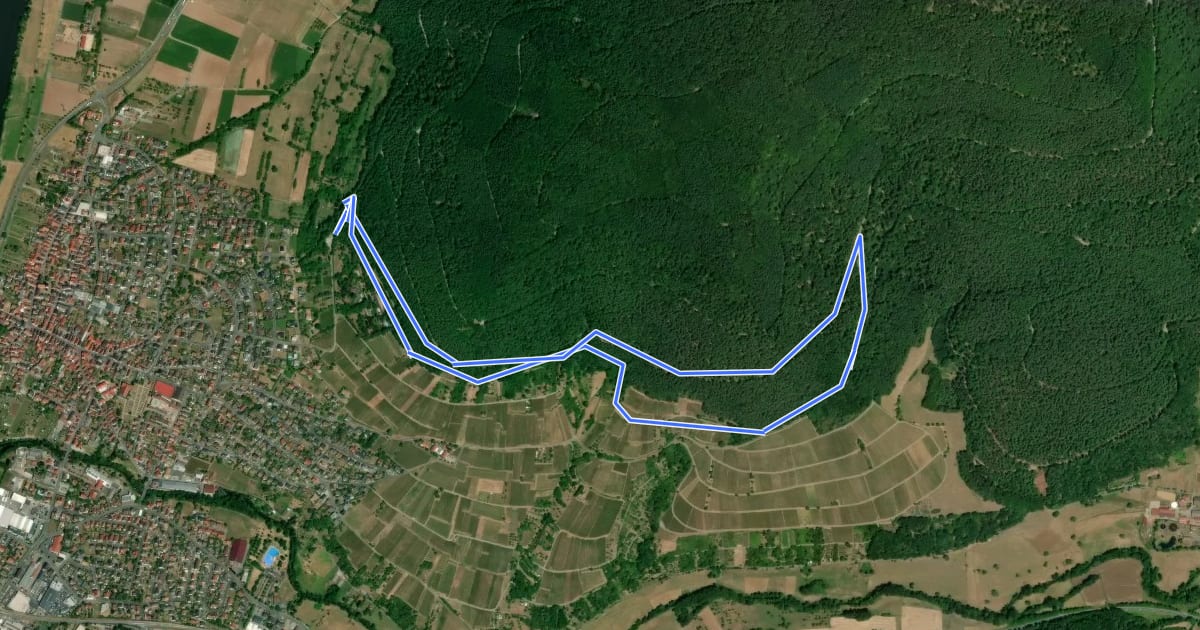 Маршрут Nordic Walking Bürgstadt, PP Stutz Nr. 1 на спутниковом снимке