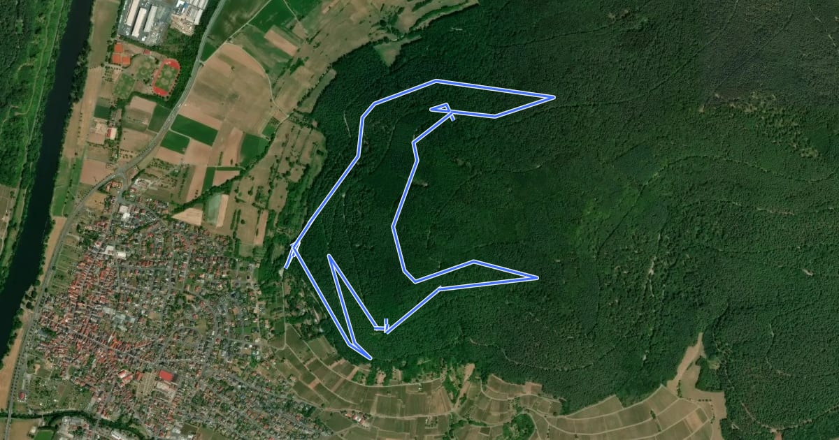 Маршрут Nordic Walking Bürgstadt, PP Stutz Nr. 2 на спутниковом снимке