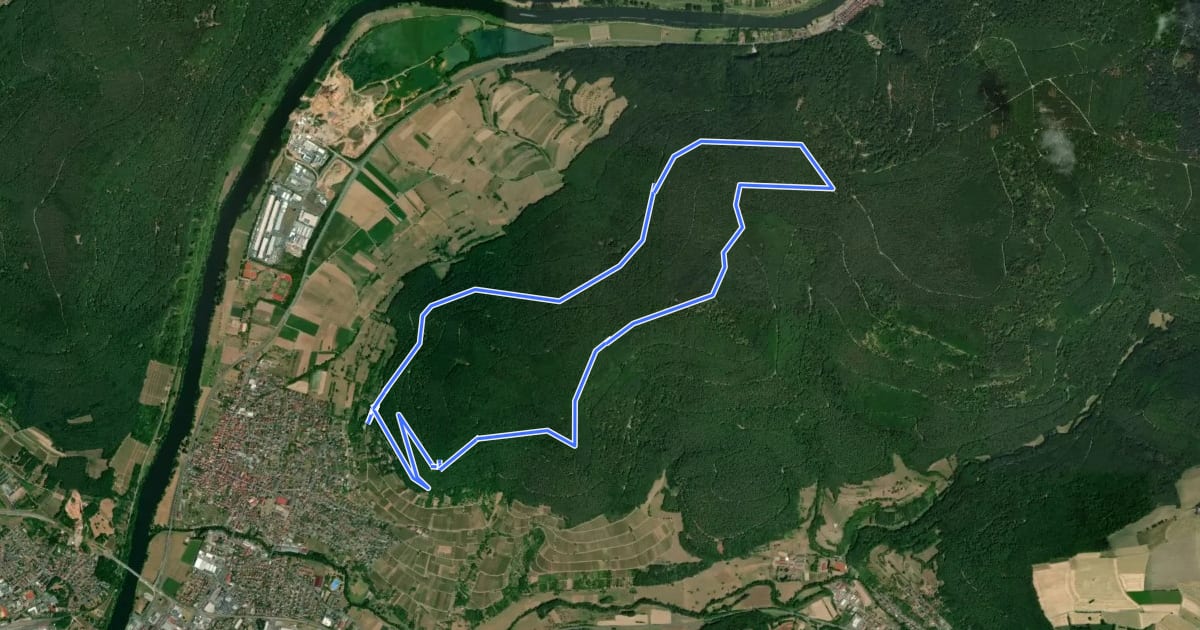 Маршрут Nordic Walking Bürgstadt, PP Stutz Nr. 3 на спутниковом снимке