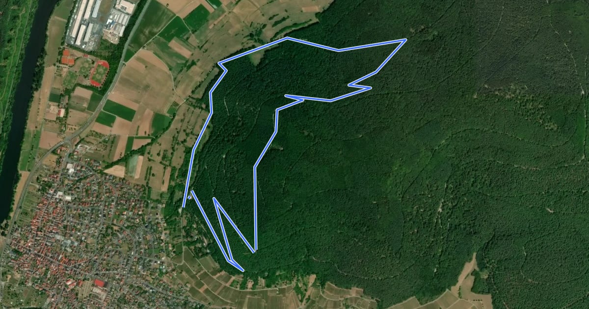 Маршрут Nordic Walking Bürgstadt, PP Stutz Nr. 4 на спутниковом снимке