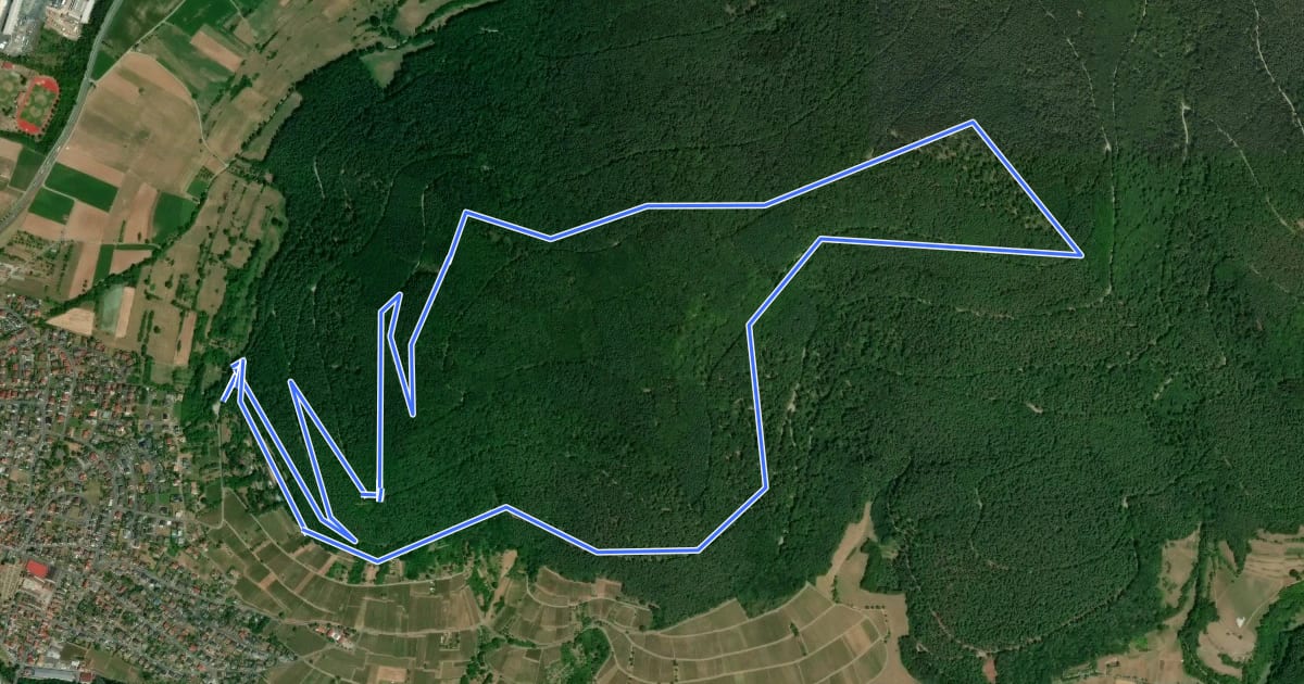 Маршрут Nordic Walking Bürgstadt, PP Stutz Nr. 5 на спутниковом снимке