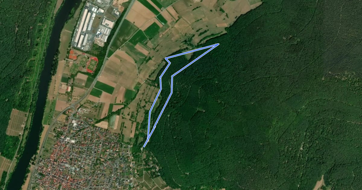 Маршрут Nordic Walking Bürgstadt, PP Stutz Nr. 6 на спутниковом снимке