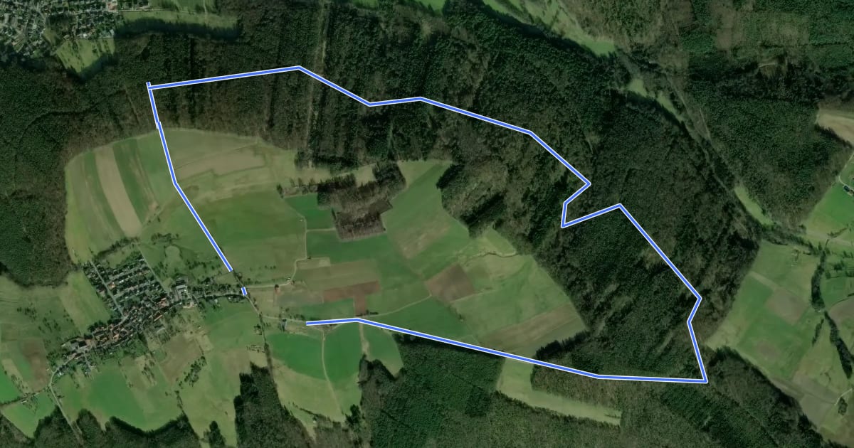 Маршрут Nordic Walking Bad König Tour 11 : Von der Momarter Eiche um die Pfaffenwiese на спутниковом снимке