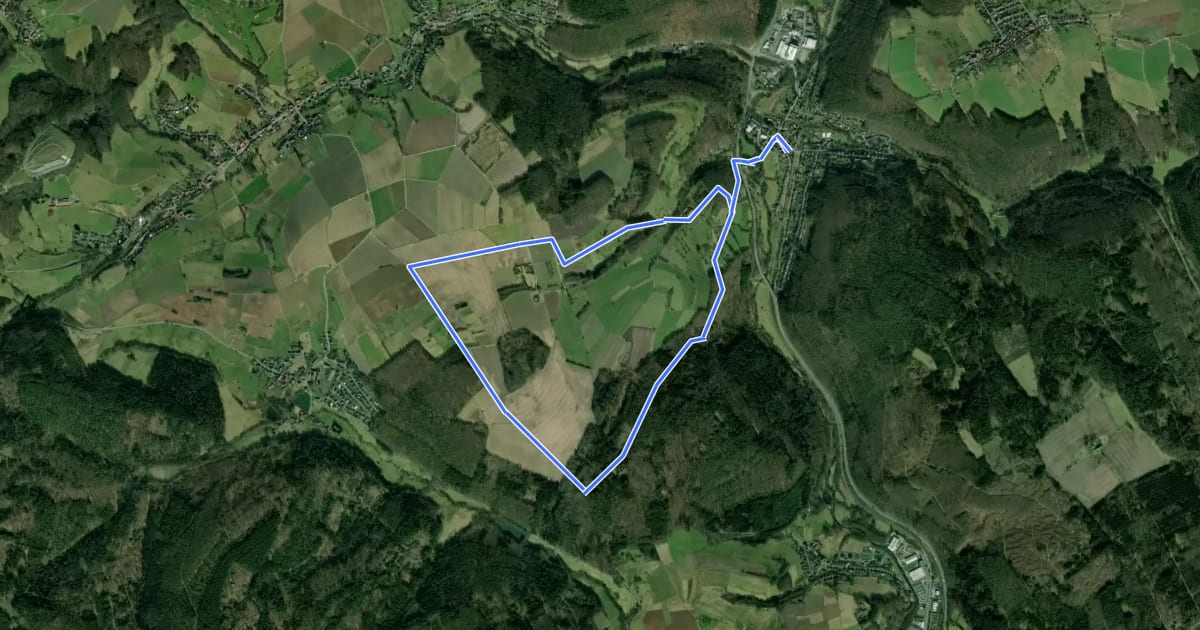 Маршрут Nordic Walking Bad König Tour 9 : Von Zell zur Russeneiche на спутниковом снимке