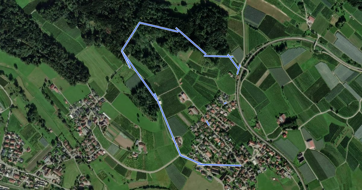 Маршрут Nordic-Walking Bayerischer Bodensee Bodolz R17 : Herrmannsberg Runde на спутниковом снимке