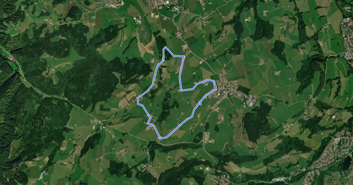 Маршрут Nordic Walking Ermengerst/Wiggensbach на спутниковом снимке