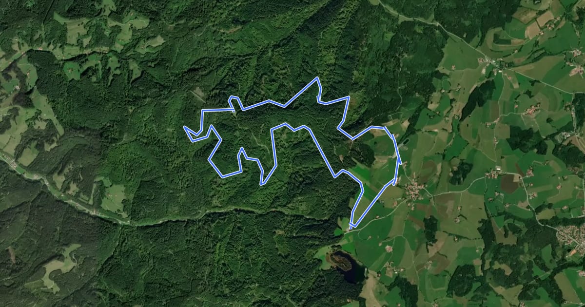 Маршрут Nordic Walking Fitness Route на спутниковом снимке