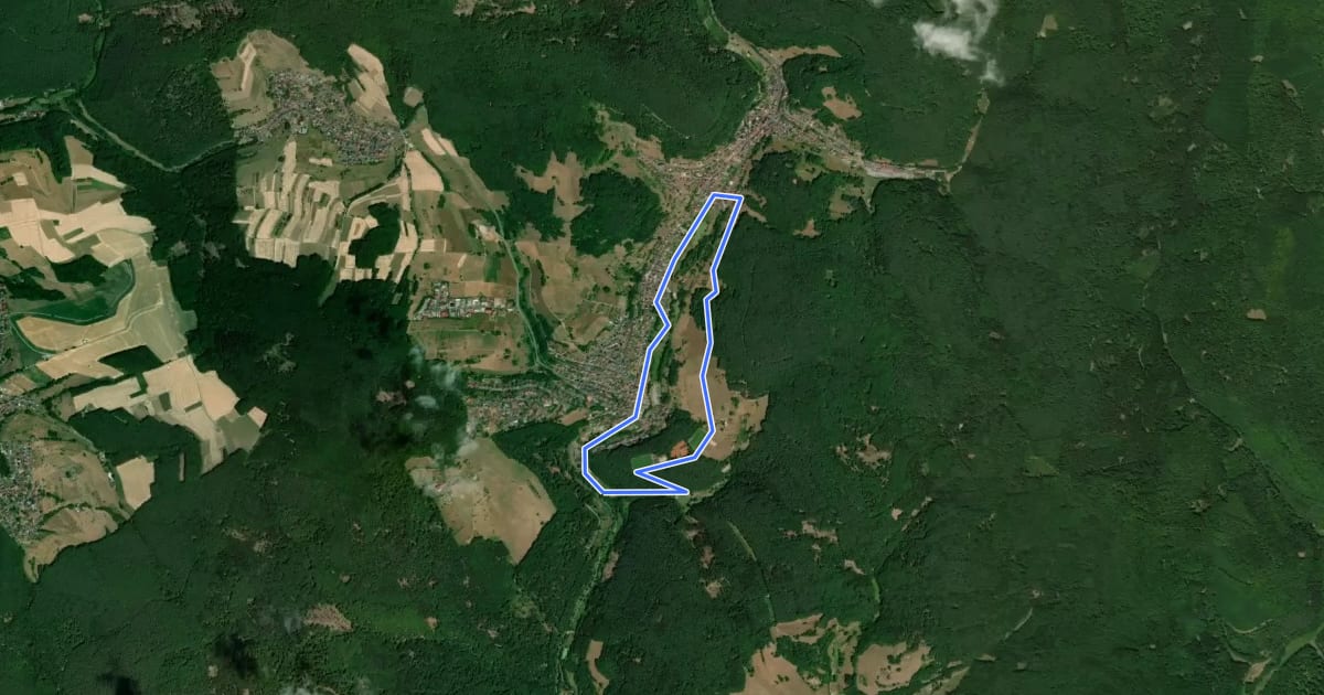 Маршрут Nordic Walking Grün Heimbuchenthal на спутниковом снимке