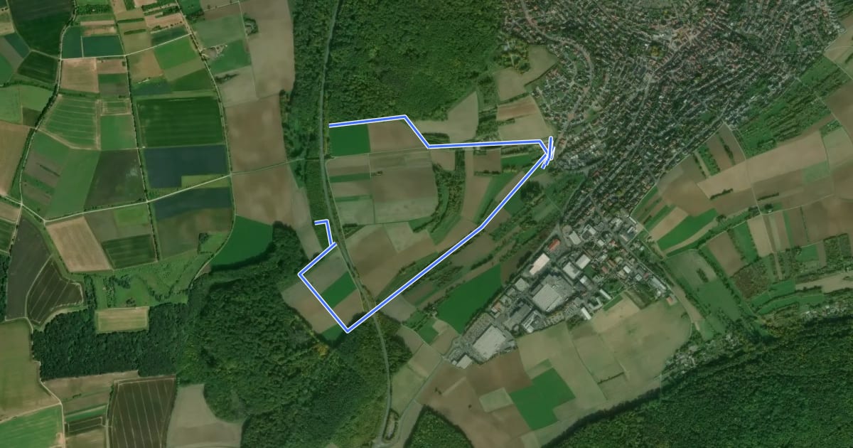 Маршрут Nordic Walking Höchberg 1 на спутниковом снимке