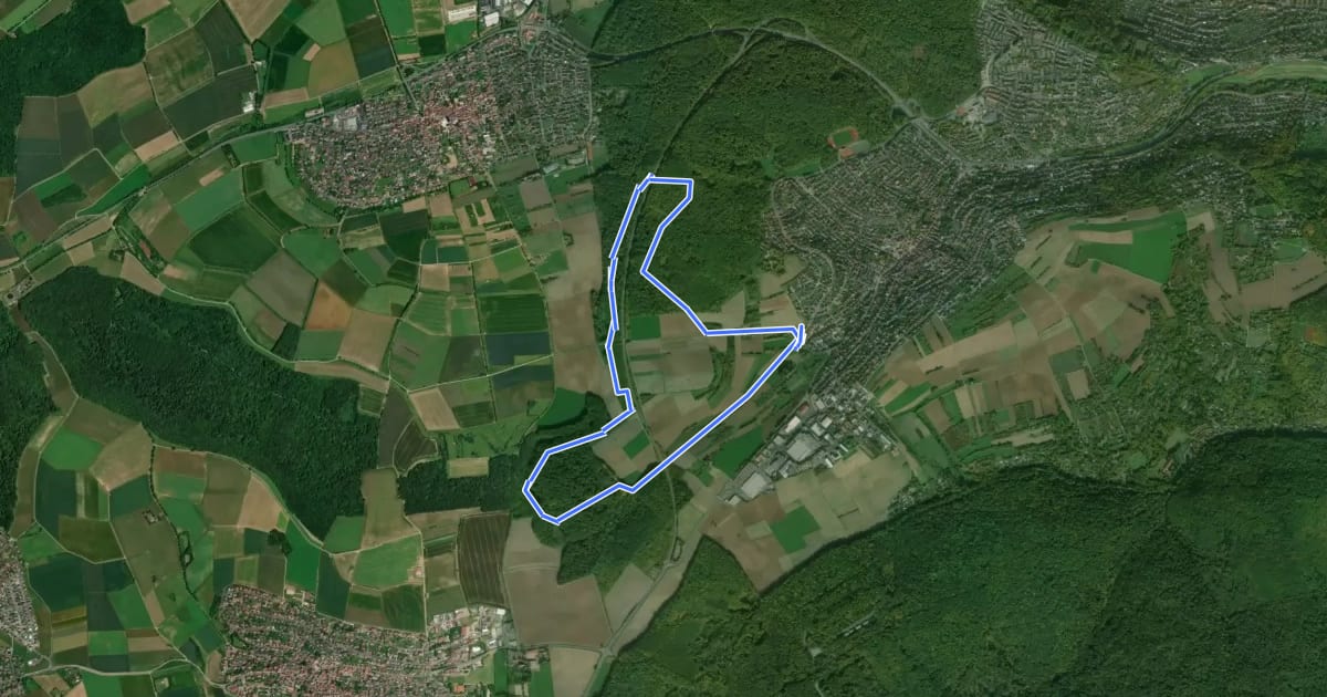 Маршрут Nordic Walking Höchberg 2 на спутниковом снимке