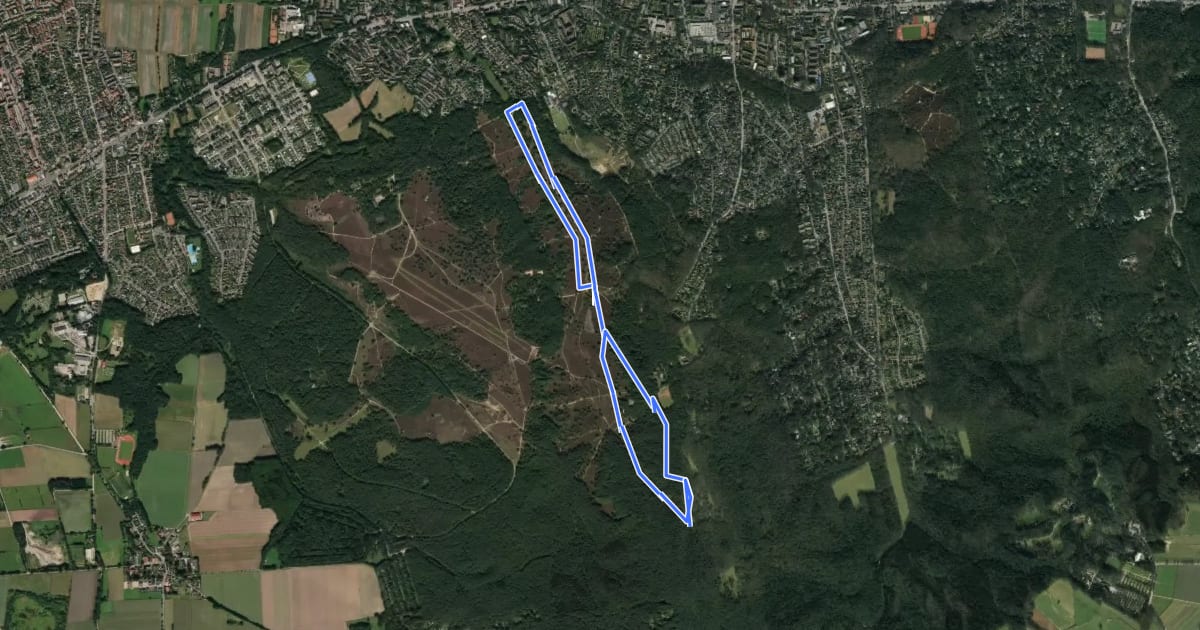 Маршрут Nordic Walking N1 Leichte Tour Heide на спутниковом снимке