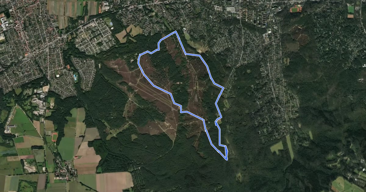 Маршрут Nordic Walking N2 Mittelschwere Tour Heide на спутниковом снимке