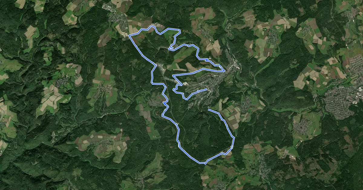 Маршрут Nordic Walking Park 12 на спутниковом снимке