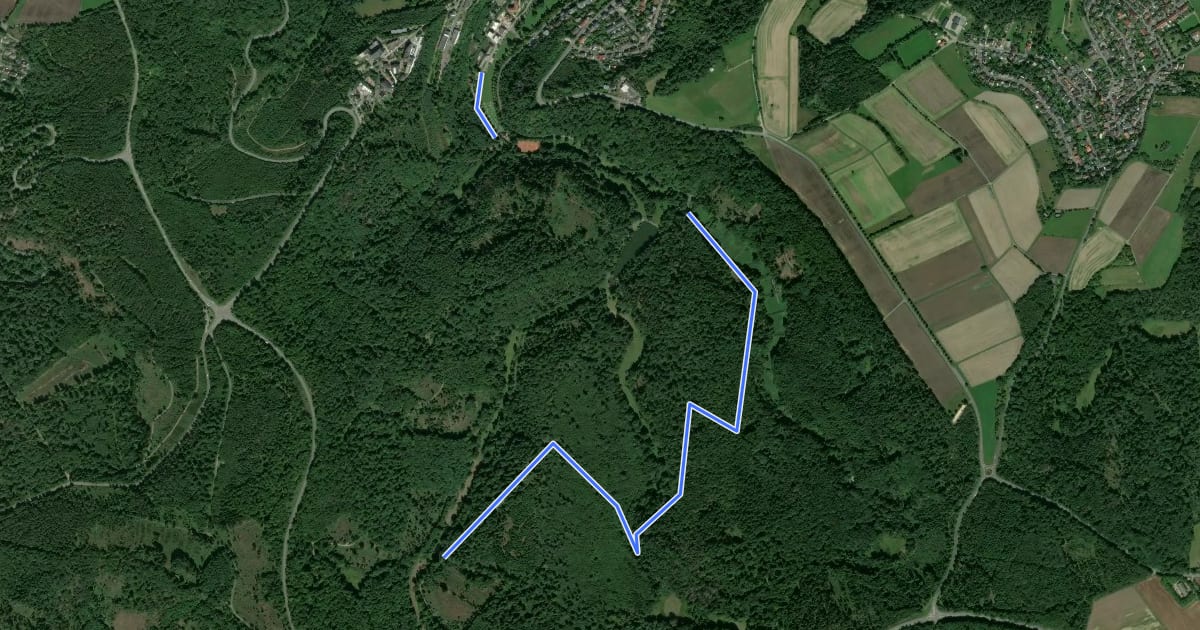 Маршрут Nordic Walking Park 3 на спутниковом снимке