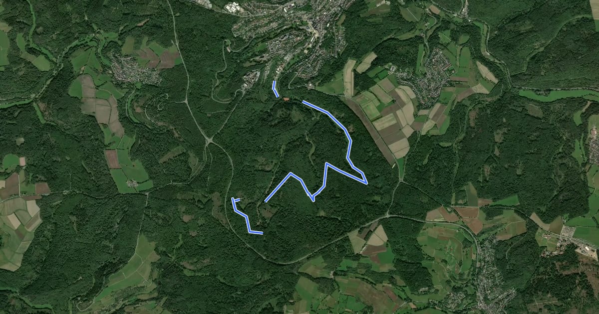 Маршрут Nordic Walking Park 4 на спутниковом снимке