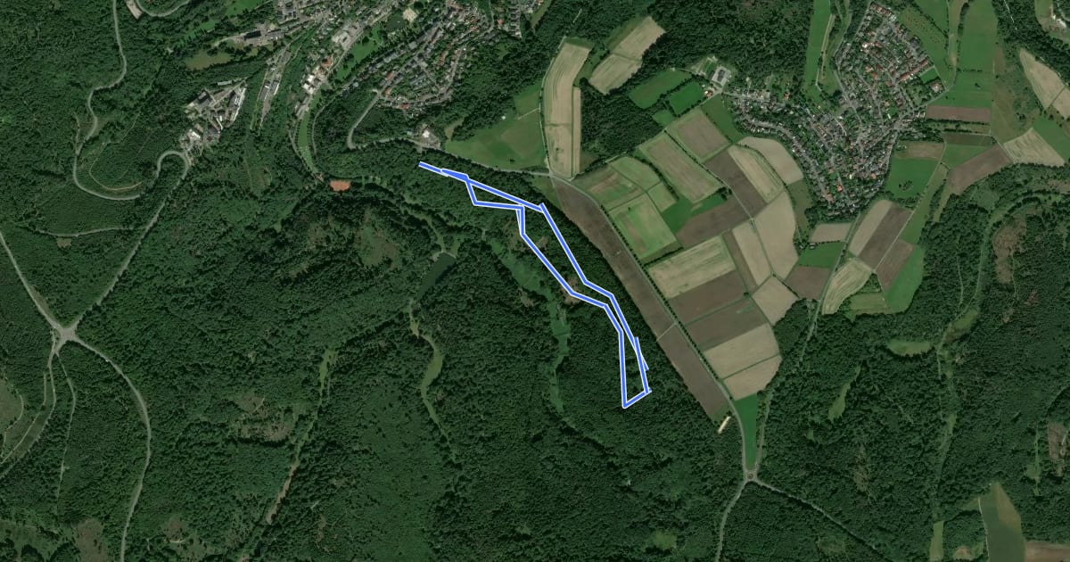 Маршрут Nordic Walking Park 5 на спутниковом снимке