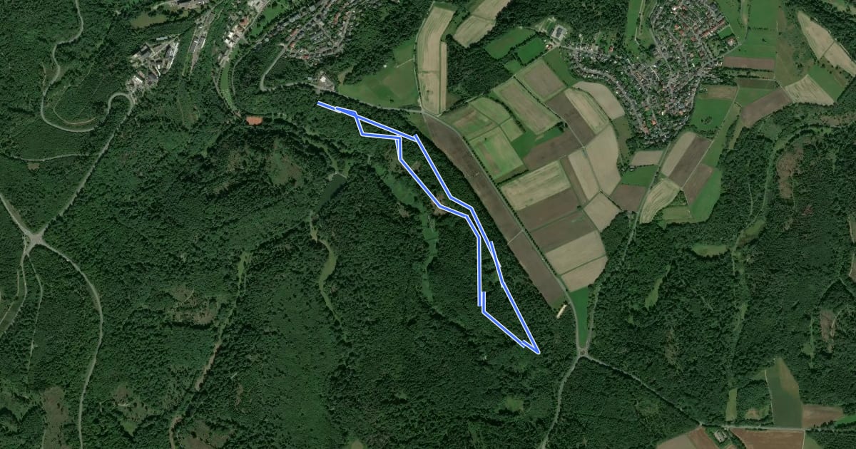 Маршрут Nordic Walking Park 6 на спутниковом снимке