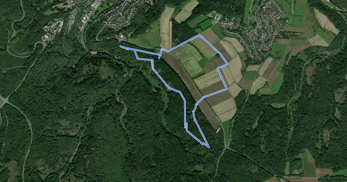 Маршрут Nordic Walking Park 7 на спутниковом снимке