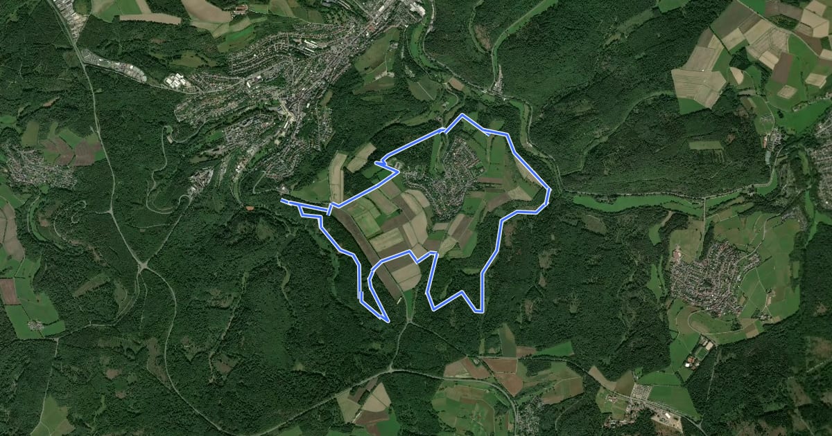 Маршрут Nordic Walking Park 8 на спутниковом снимке