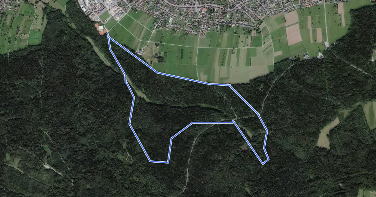 Маршрут Nordic-Walking-Route 2 - Heubuckel-Route на спутниковом снимке