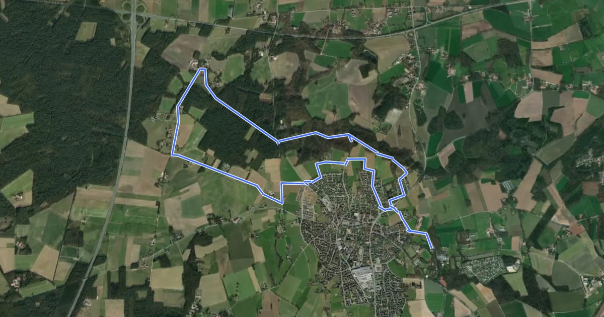 Маршрут Nordic Walking Rundweg Groß Reken G1 на спутниковом снимке
