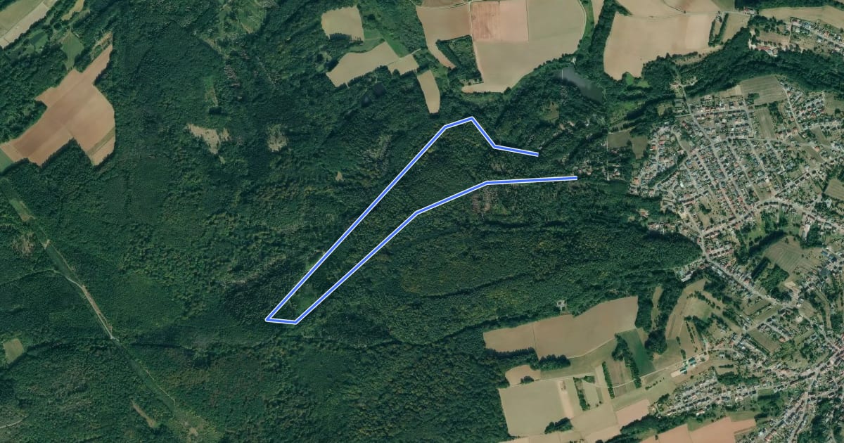 Маршрут Nordic Walking, Strecke 1 leicht на спутниковом снимке