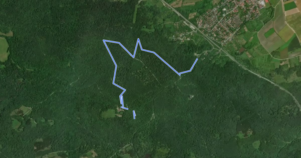 Маршрут Nordic-Walking-Strecke Birkensumpf на спутниковом снимке