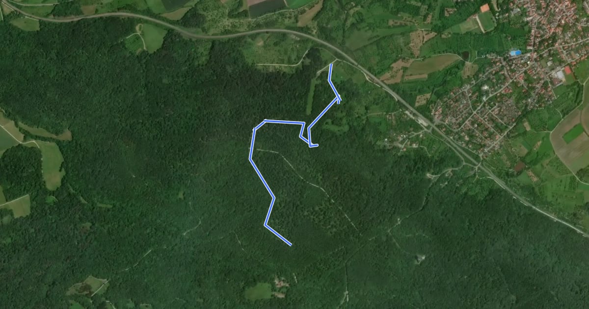 Маршрут Nordic-Walking-Strecke Friglesberg на спутниковом снимке