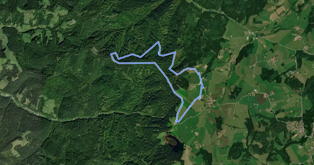 Маршрут Nordic Walking Vital Route на спутниковом снимке