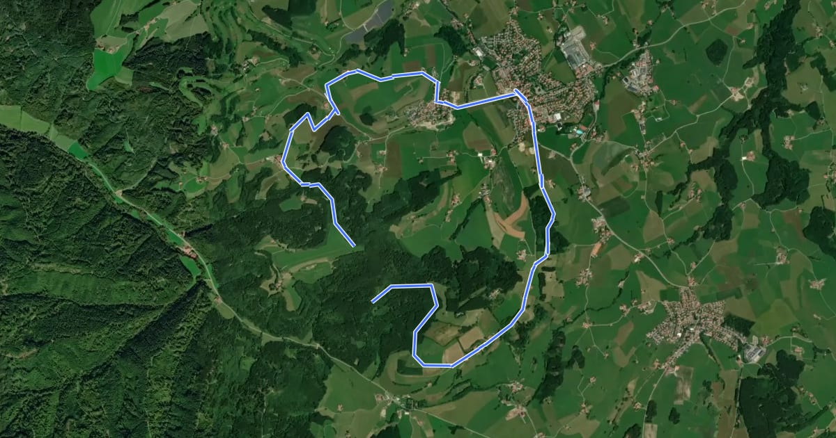 Маршрут Nordic Walking Wiggensbach на спутниковом снимке