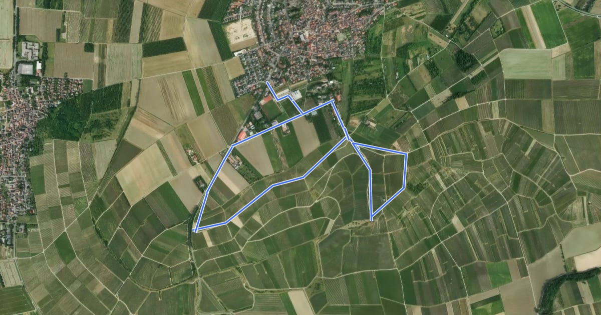 Маршрут Nordic Walking Zornheim Nr. 1 на спутниковом снимке