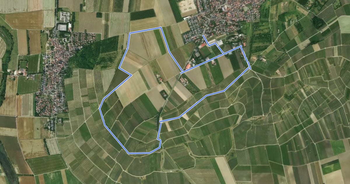 Маршрут Nordic Walking Zornheim Nr. 3 на спутниковом снимке