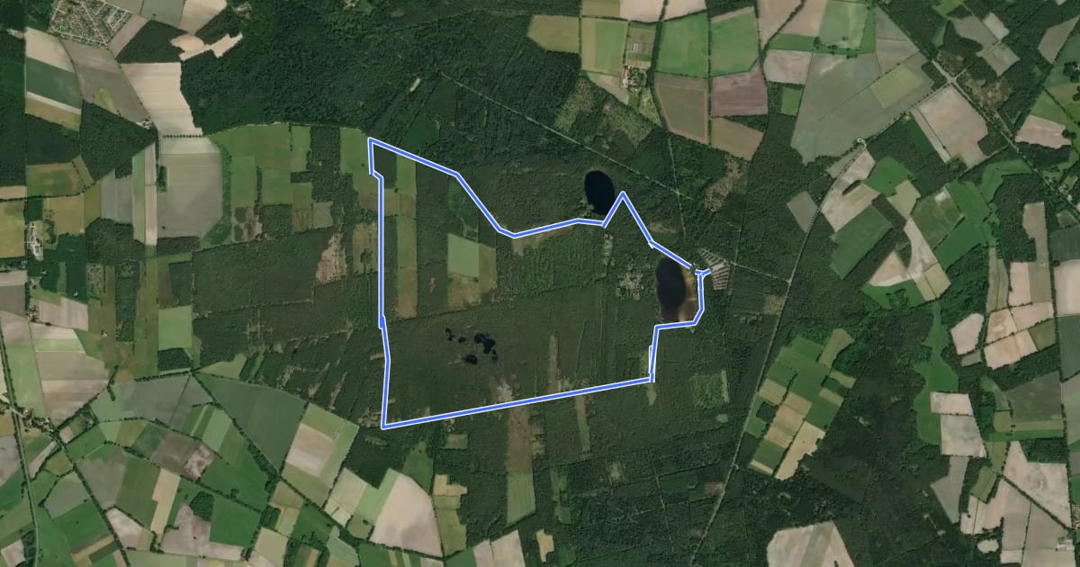 Маршрут Nordpfad 'Dör't Moor (kurze Variante Butterweg)' на спутниковом снимке