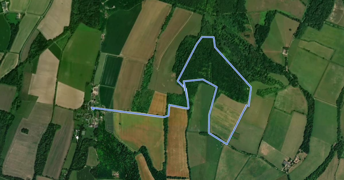 Маршрут Nore Hill Folly walk, Slindon на спутниковом снимке