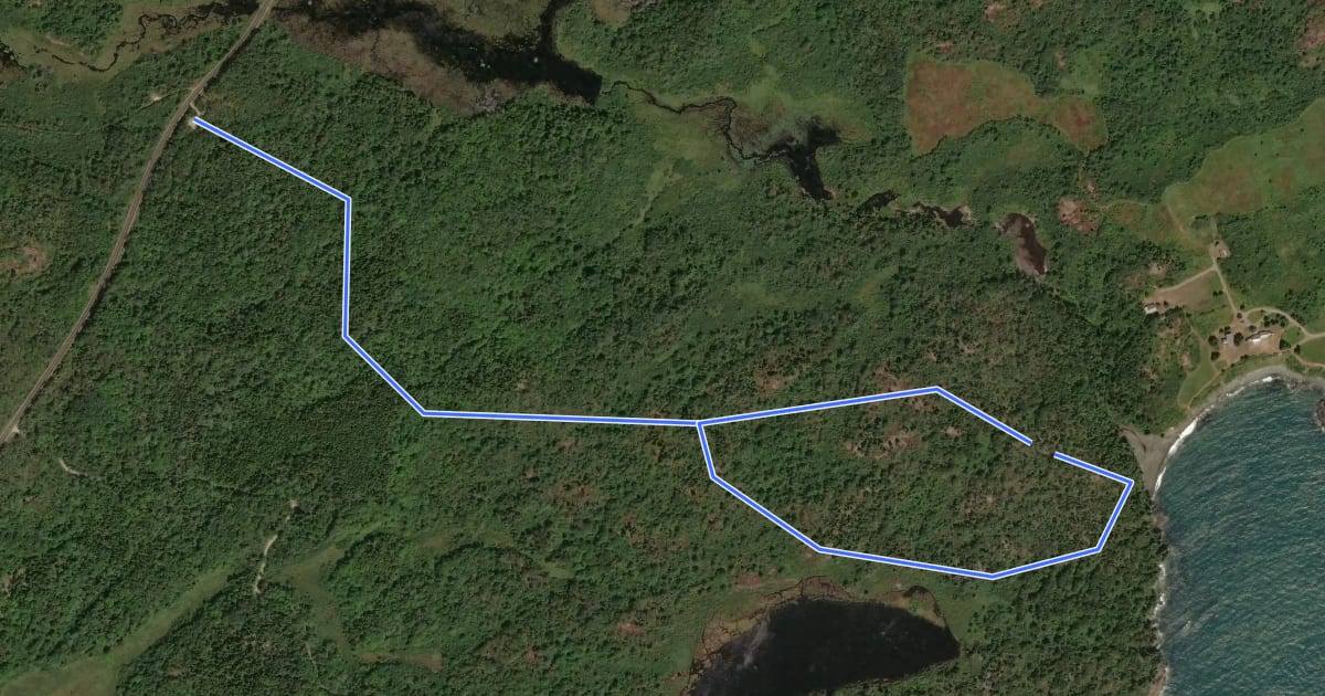 Маршрут Norse Pond Trail на спутниковом снимке