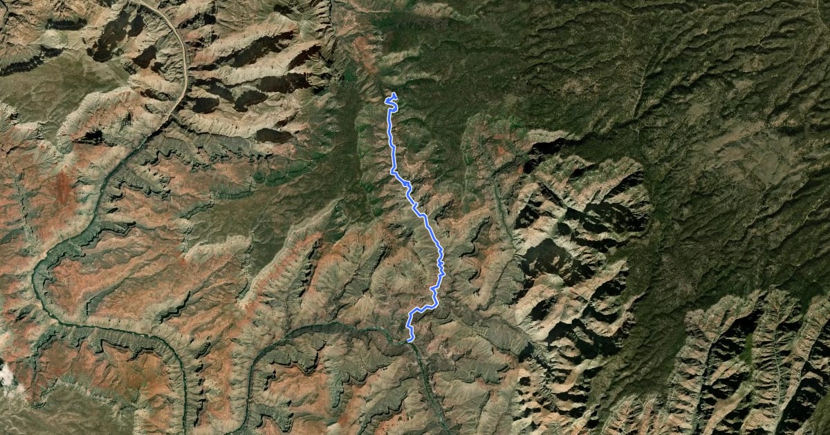 Маршрут North Bass Trail на спутниковом снимке