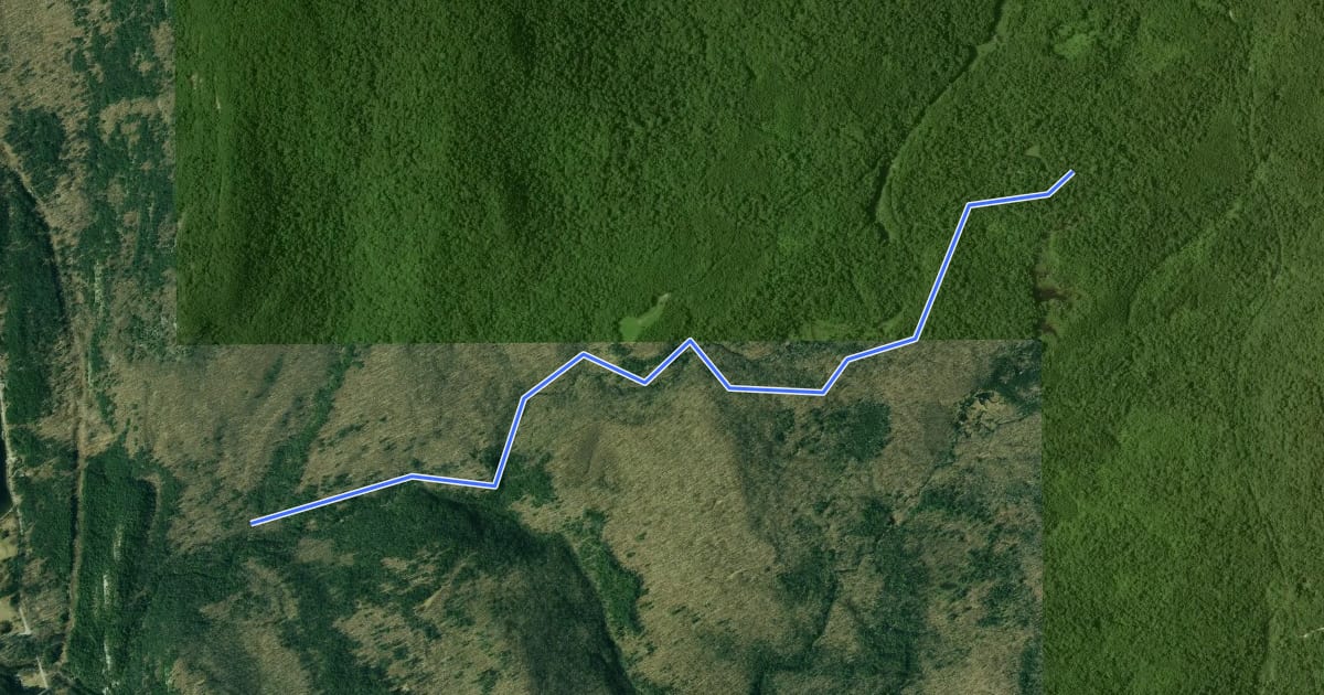 Маршрут North Branch Trail на спутниковом снимке