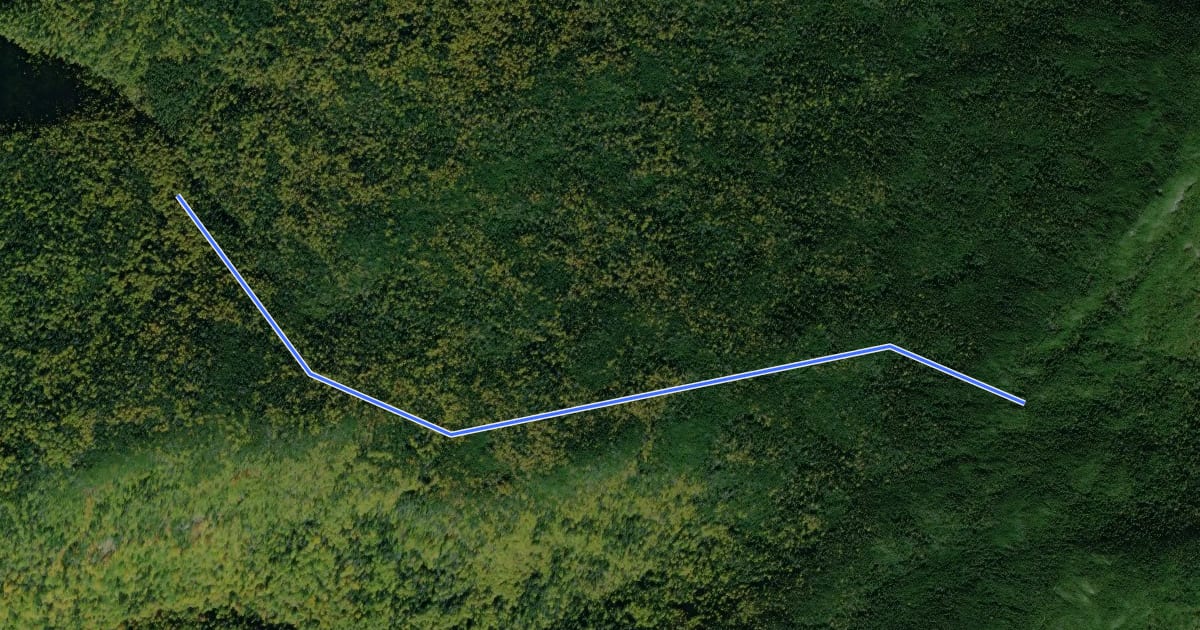 Маршрут North Carter Trail на спутниковом снимке