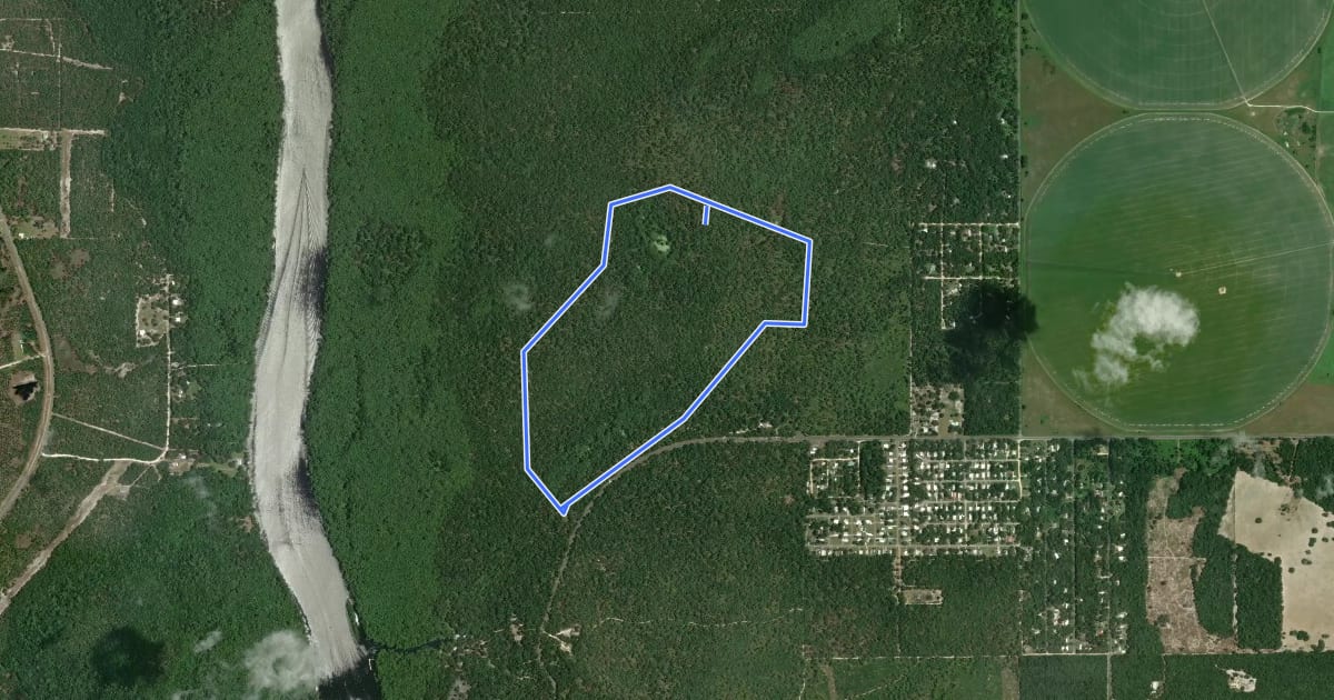 Маршрут North End Nature Walk на спутниковом снимке