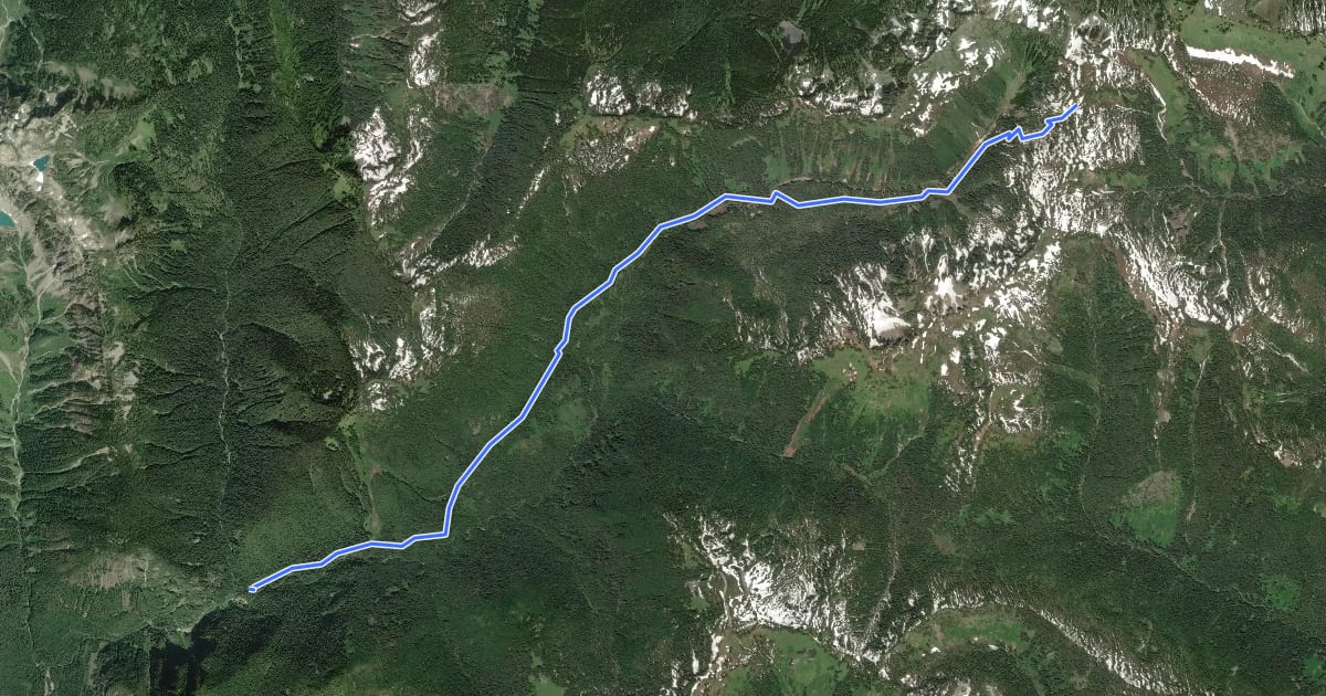 Маршрут North Fork Skykomish Trail на спутниковом снимке