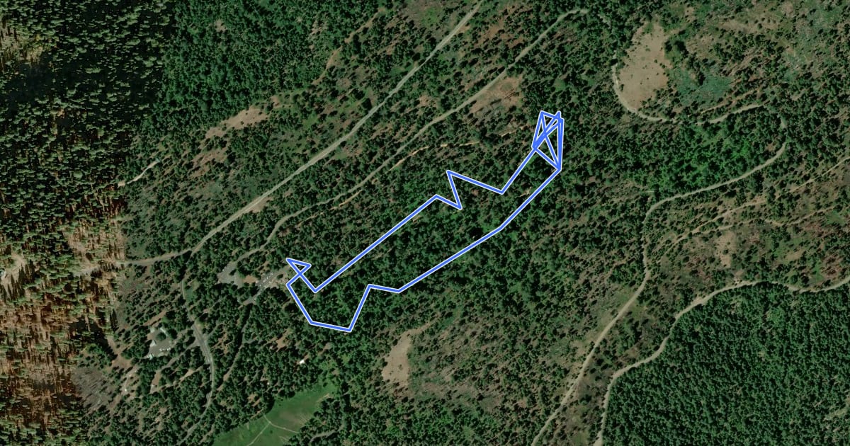 Маршрут North Grove Trail на спутниковом снимке