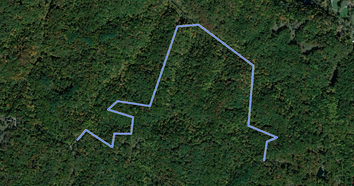 Маршрут North Loop Trail на спутниковом снимке