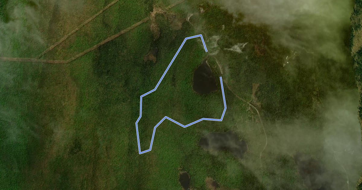 Маршрут North Pond Loop на спутниковом снимке