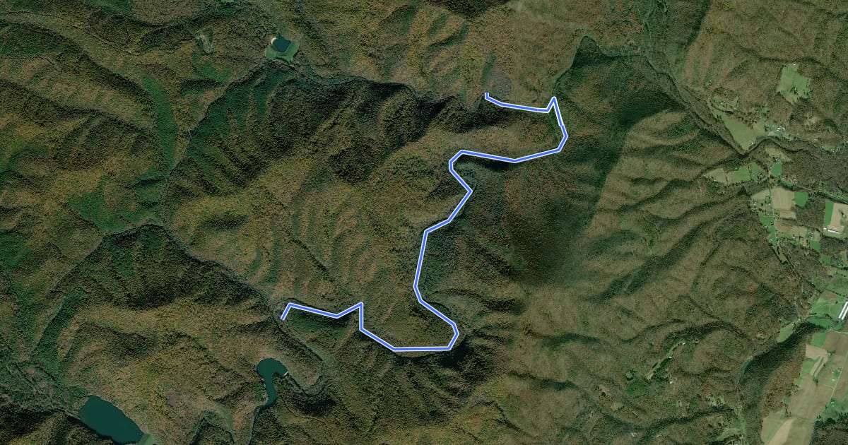 Маршрут North River Gorge Trail на спутниковом снимке