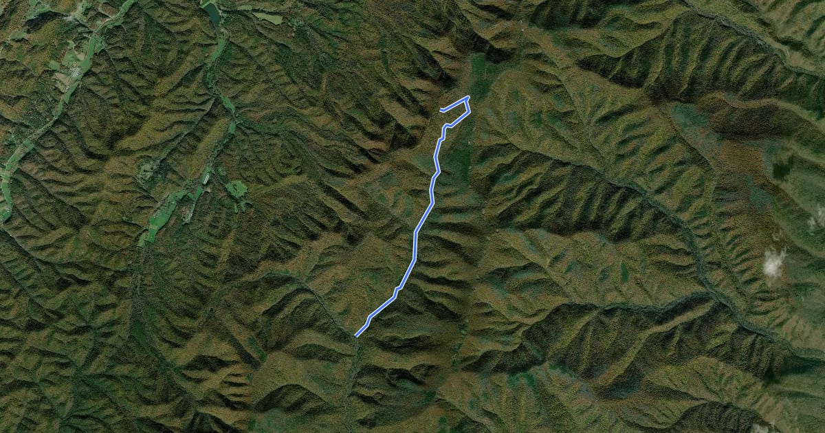 Маршрут North River Trail на спутниковом снимке