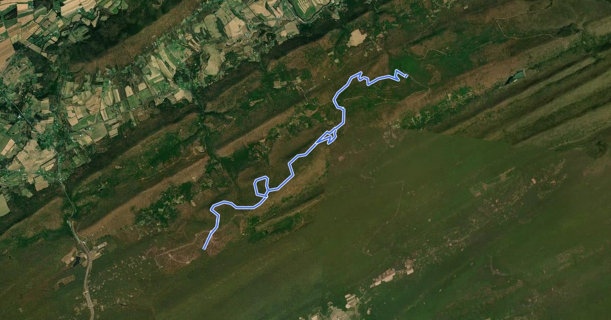 Маршрут North Sand Mountain Trail на спутниковом снимке