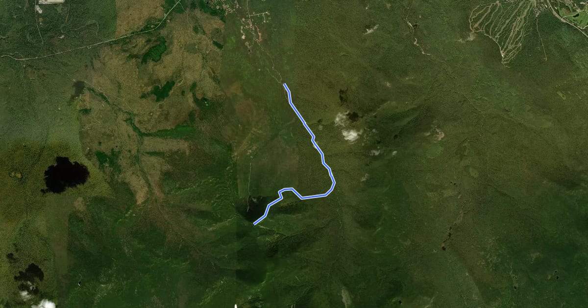 Маршрут North Twin Trail на спутниковом снимке